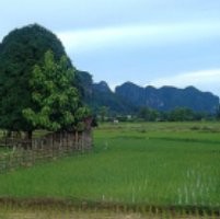 Thailand Takkan Batasi Ekspor Beras